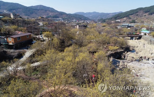 봄옷으로 갈아입은 산수유마을