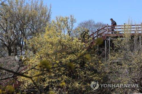 봄을 거닐다