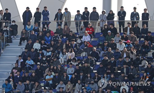 축구인기 '최고야'