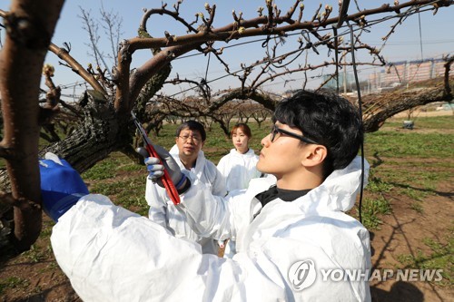 '과수화상병을 막아라'
