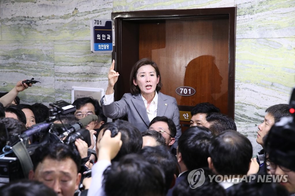 헌법수호 외치는 나경원