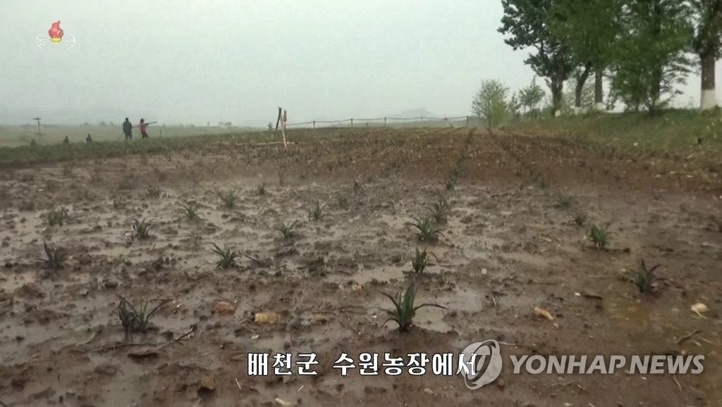 지난 5월 가뭄 피해 전하는 북한 TV