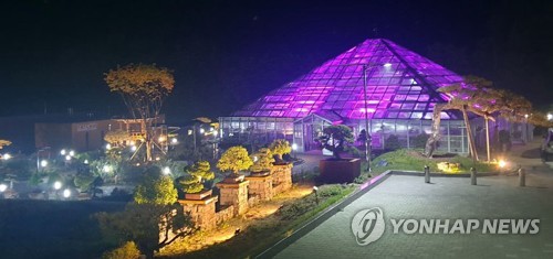 양구 'DMZ 야생화분재원' 주말 야간 개장
