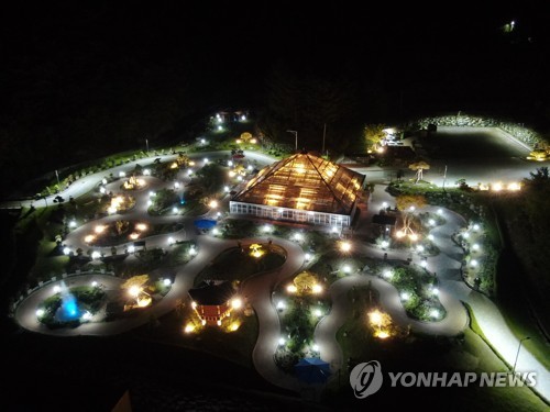 양구군 'DMZ 야생화분재원' 금·토 야간 개장