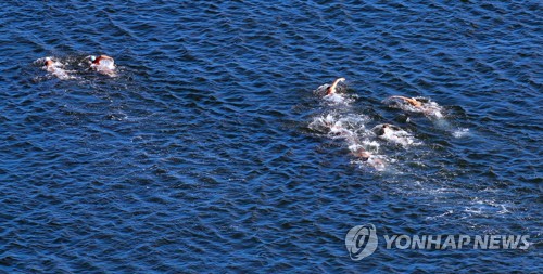 푸른 바다를 가르는 '오픈워터' 경기