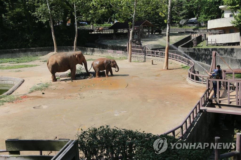 서울대공원, '동물들의 폭염나기' 비상