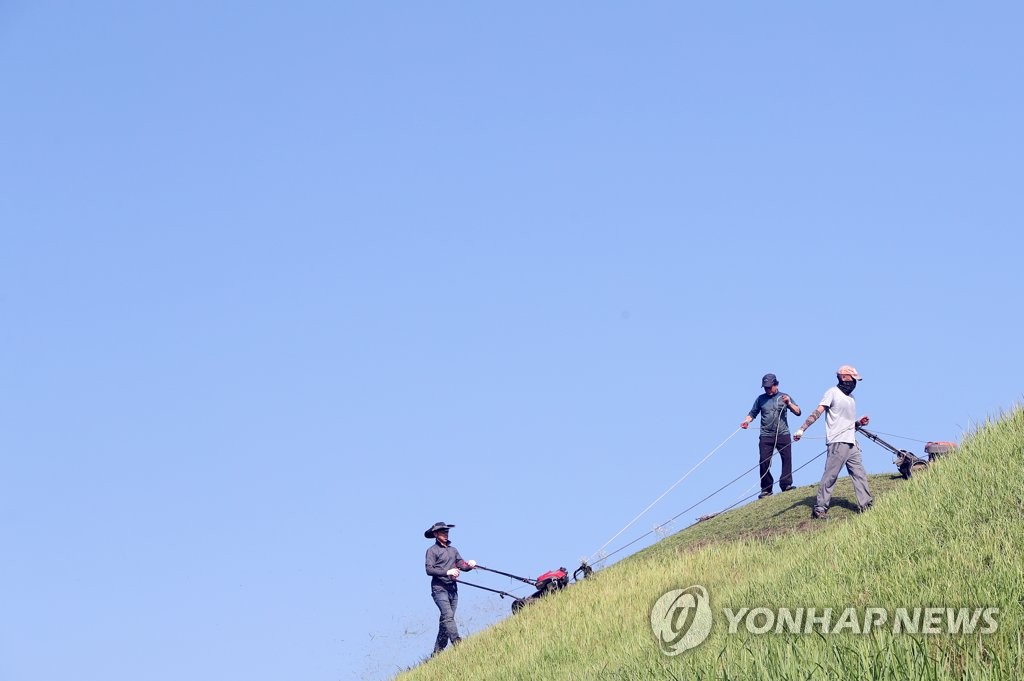경주 대릉원 추석 벌초 시작