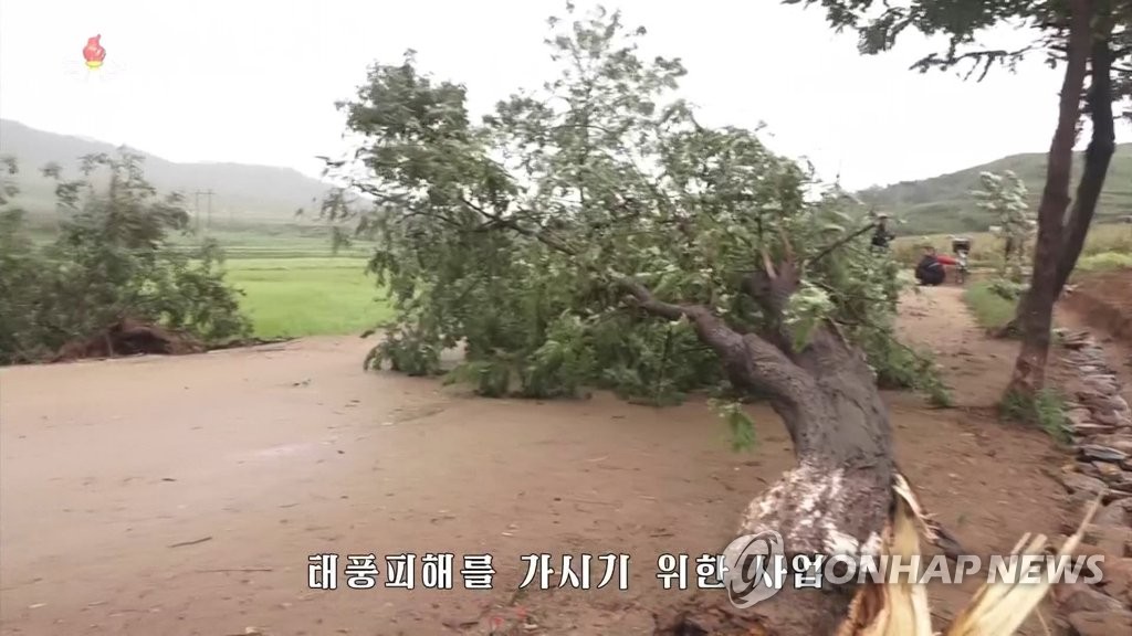 북한 TV, 태풍 '링링' 피해 보도