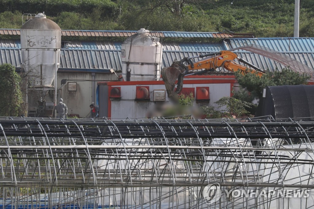 아프리카돼지열병 방역작업