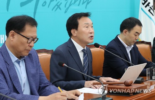 발언하는 손학규 대표
