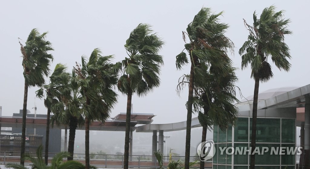 Typhoon brings strong winds to Jeju Island Typhoon brings strong winds to Jeju Island
