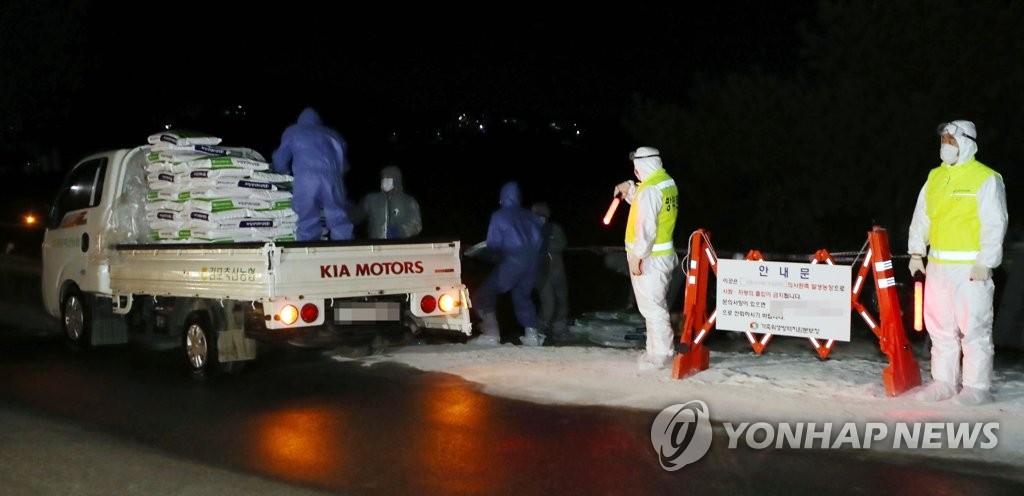 생석회 옮기는 방역당국 관계자들
