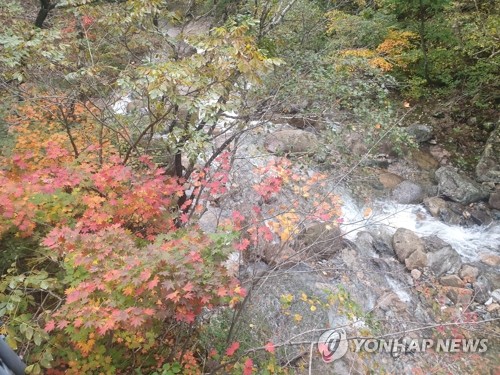 단풍 물든 설악산 천불동계곡
