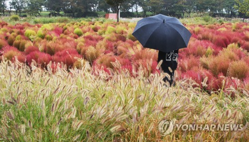 가을비