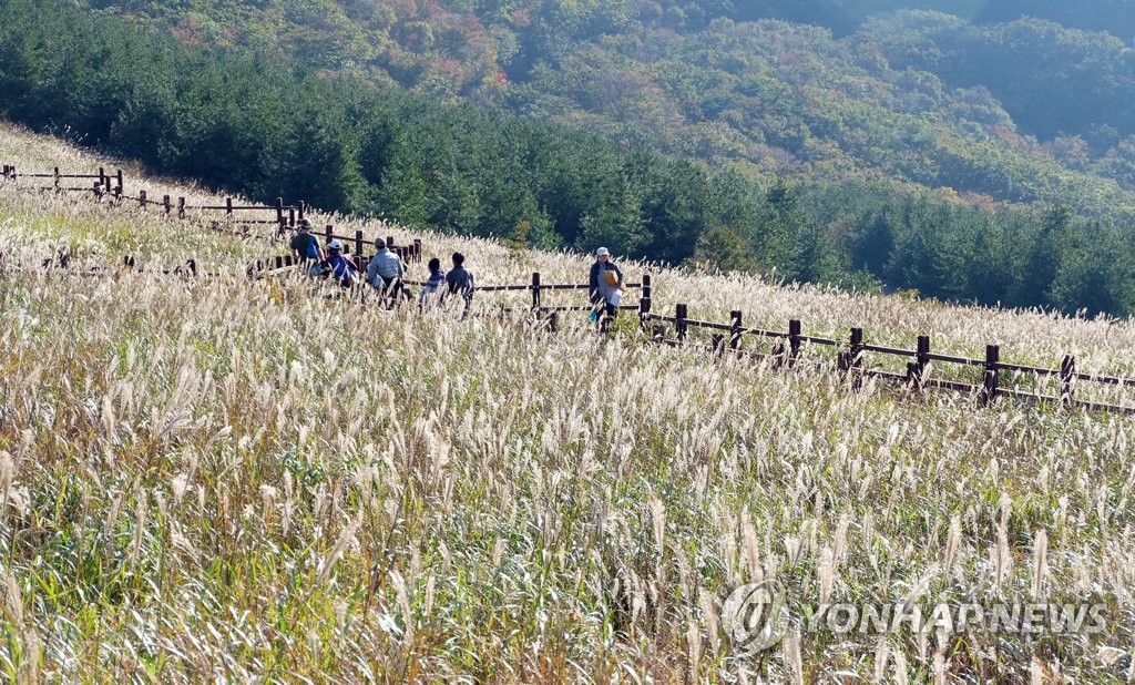 억새 핀 영남알프스 간월재