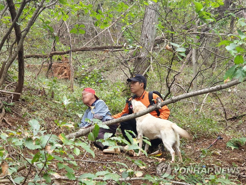실종 치매 노인 찾아낸 인명 구조견