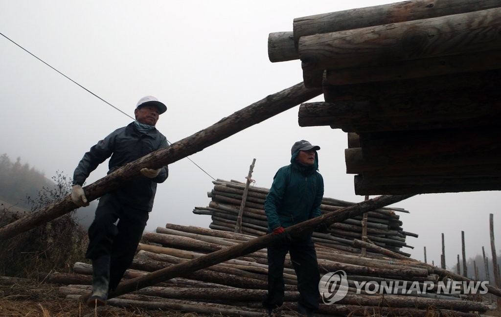 대관령 주민 입동에 겨울 채비 구슬땀
