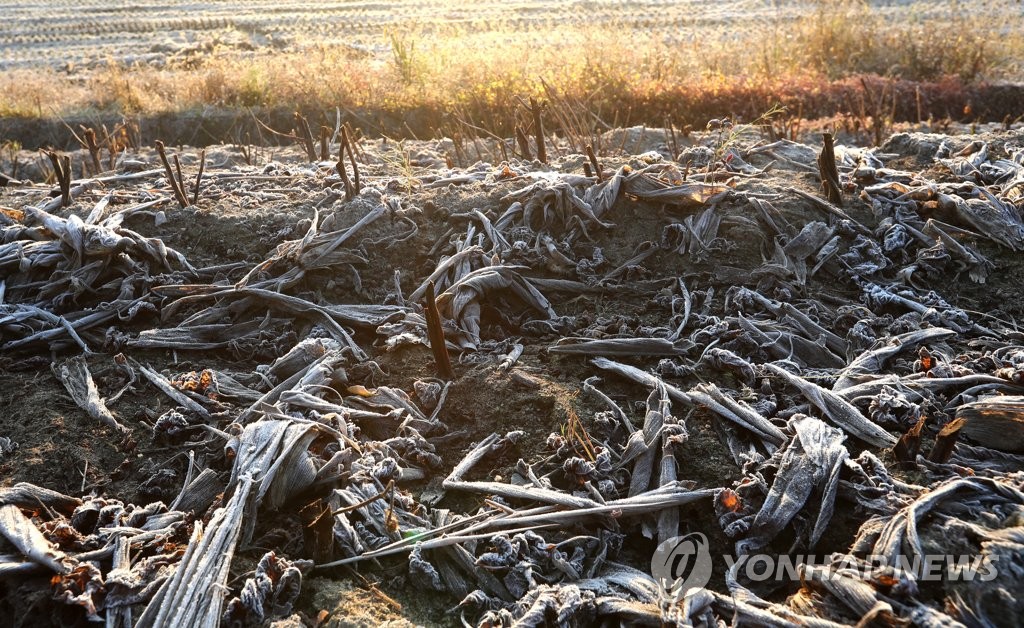 서리 내린 입동