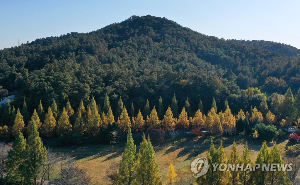 더디게 찾아온 남녘의 가을