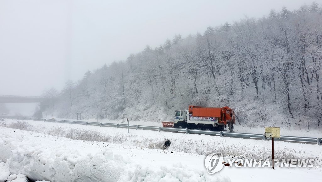 지난 25일 평창 대관령에 내린 눈