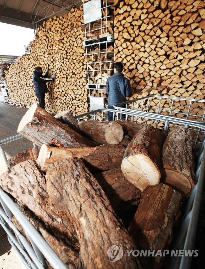 Firewood for winter Firewood for winter