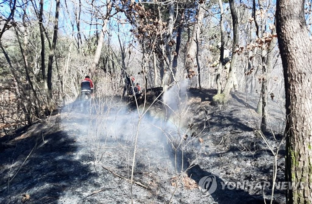 횡성 산불 진화