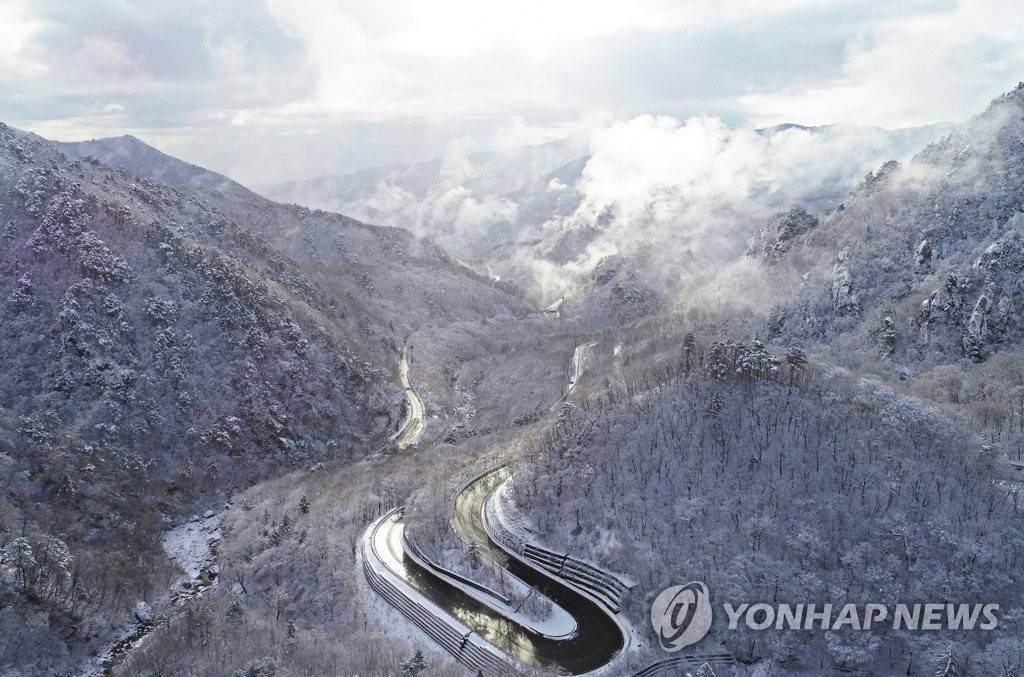 '겨울과 봄의 공존'…전국 눈 쌓인 산지와 활짝 핀 꽃