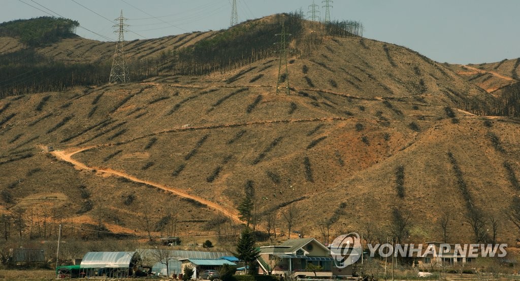 민둥산으로 변한 마을 주변