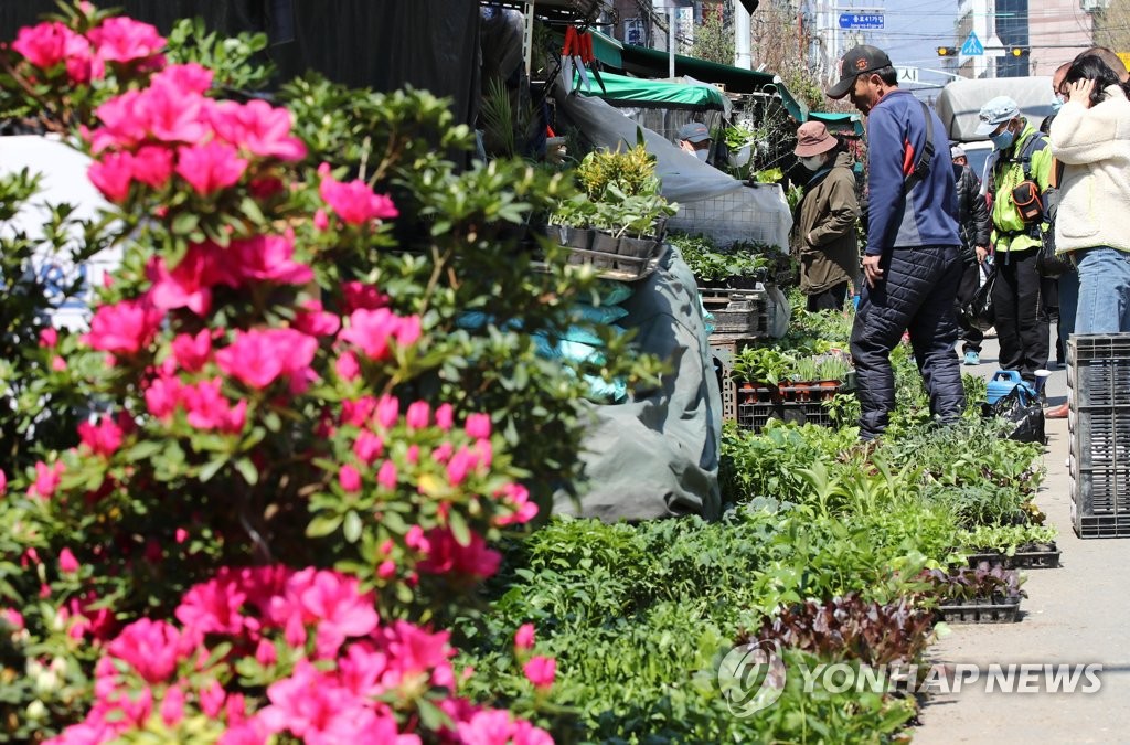 '오늘은 식목일' 꽃시장 찾은 시민들