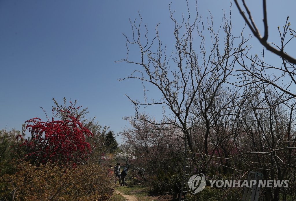 식목일에도 한산한 농원