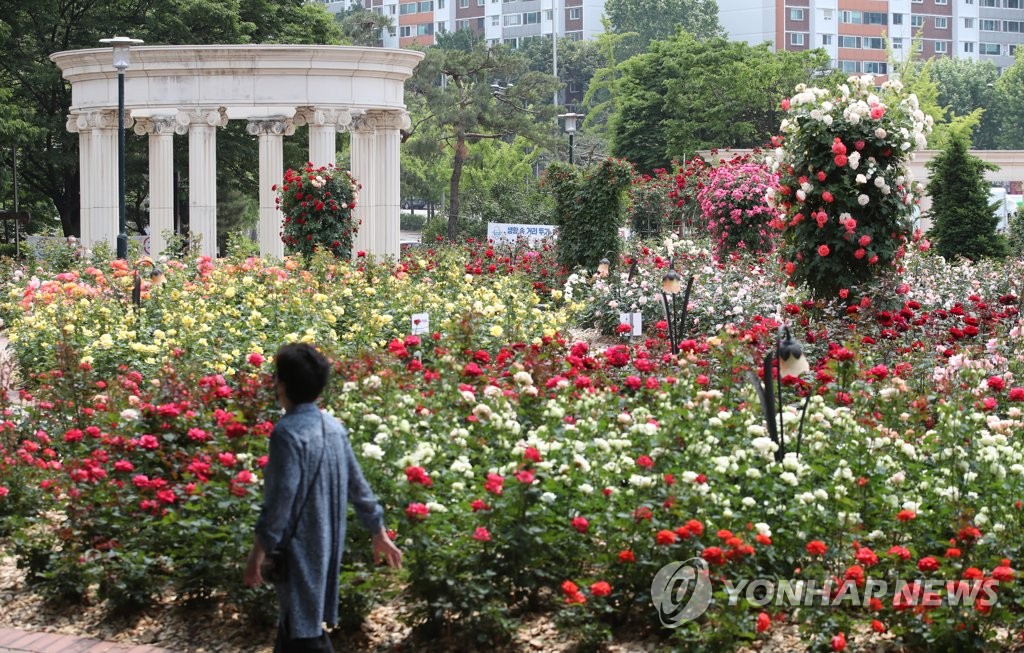 5월엔 장미
