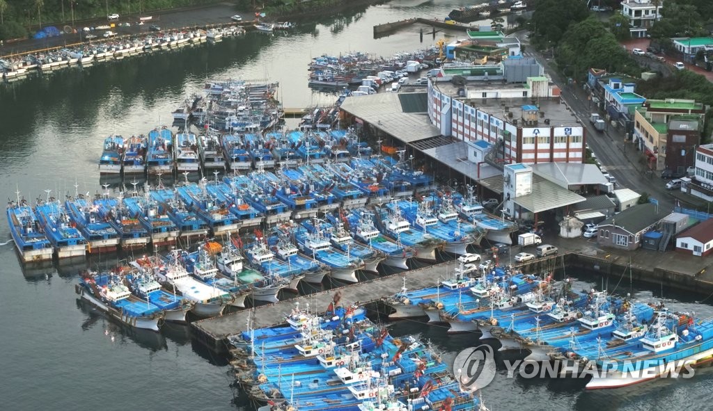 태풍 '장미' 피해 서귀포항에 정박한 어선들