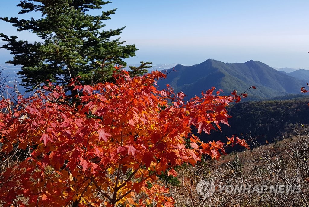 첫 단풍 시작한 설악산