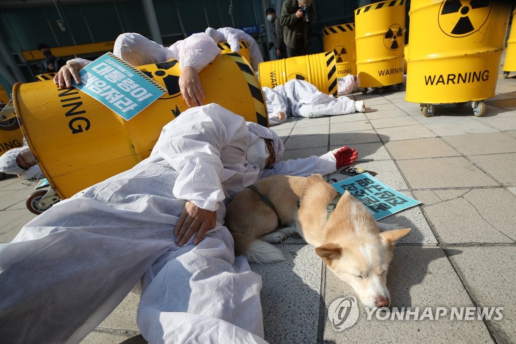 강아지도 동참한 퍼포먼스