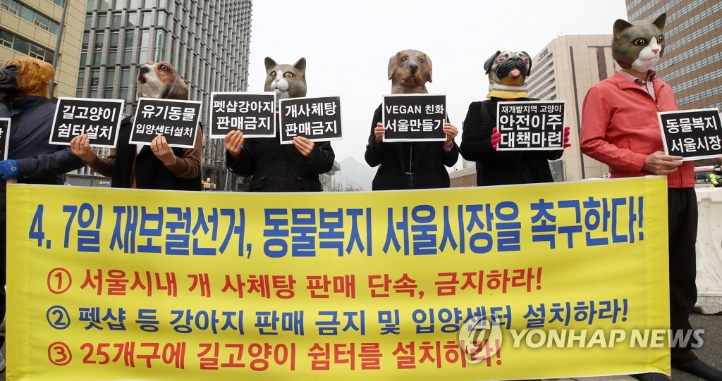 '동물복지정책 펼치는 서울시장을 촉구한다'