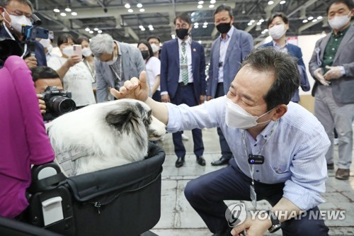 강아지에게 간식 주는 정세균 전 총리