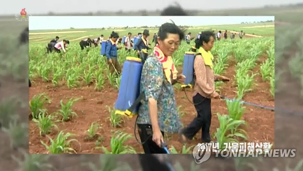 북한, 4년 전 가뭄 되풀이될까 노심초사…"농사 운명 결정하는 시기"