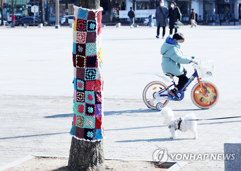 Tree wearing hand-knit wool scarf Tree wearing hand-knit wool scarf