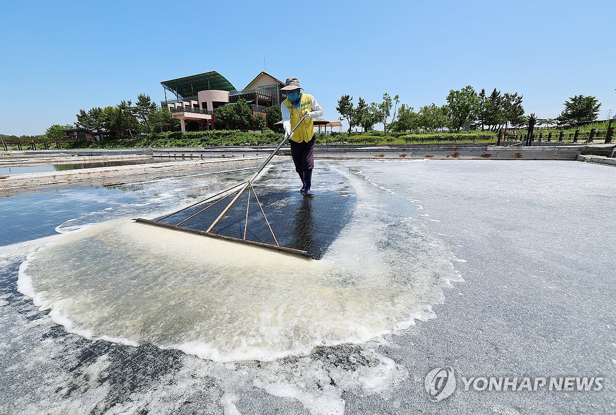 This file photo taken on June 11, 2025, shows a salt field in Incheon, just west of Seoul. (Yonhap)