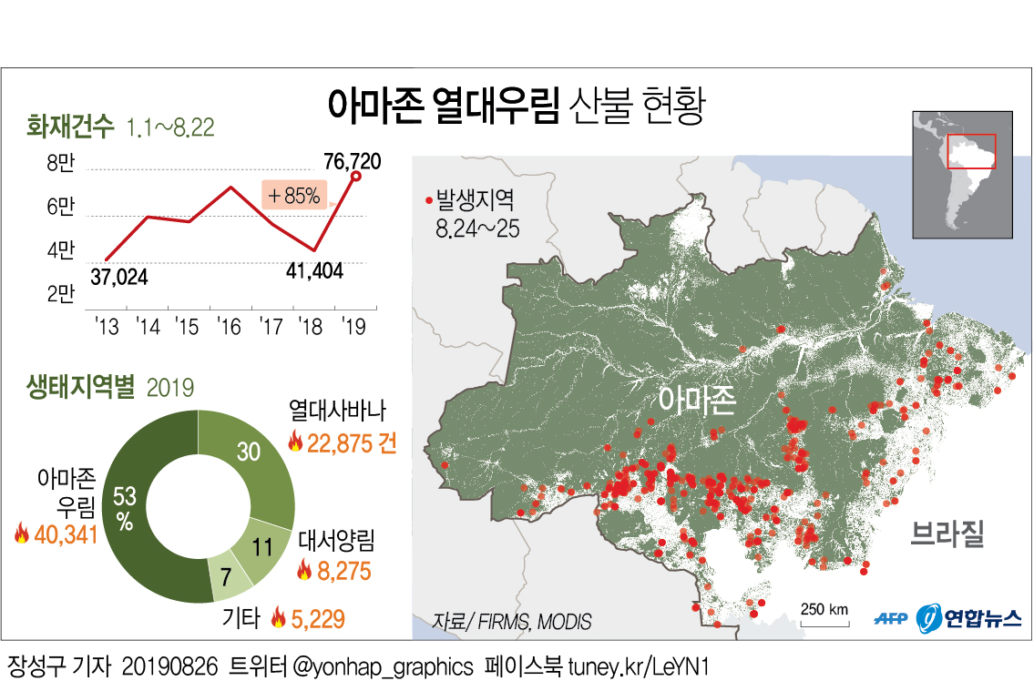 [그래픽] 아마존 열대우림 산불 현황