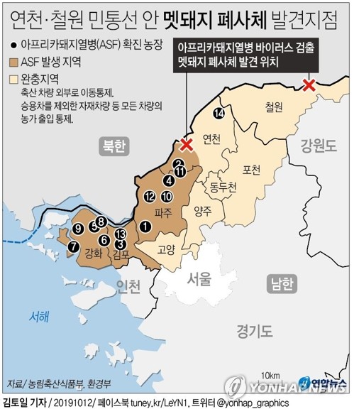 [그래픽] 연천·철원 민통선 안 멧돼지 폐사체 발견 지점