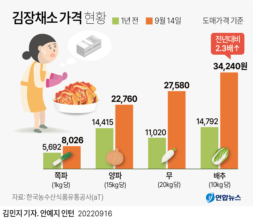 [그래픽] 김장채소 가격 현황