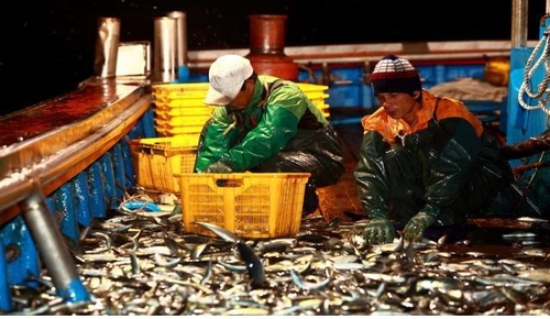 كوريا الجنوبية ترفع الحد الأدنى لأجور أفراد الطاقم الأجانب على قوارب الصيد