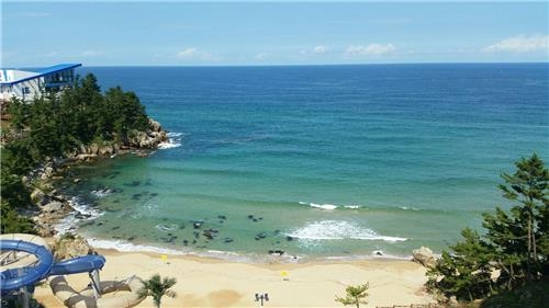 This photo shows a view of the East Sea from Sol Beach Hotel and Resort in Samcheok on Aug. 23, 2016. (Yonhap)