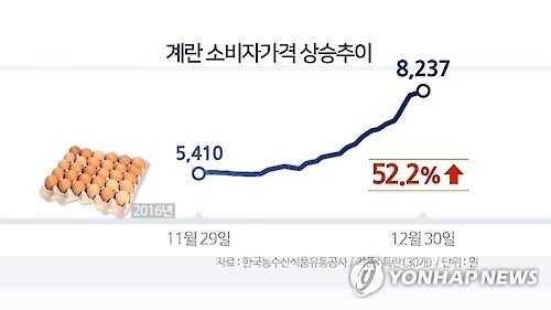 A graph by Yonhap News TV shows a surge in local egg prices. (Yonhap)