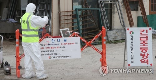 (LEAD) S. Korea begins culling 120,000 poultry over bird flu - 1