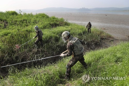 This photo taken on July 20, 2017, shows South Korean soldiers searching for wooden-box land mines that may have made their way south due to heavy rains after the North Korean military buried them along the inter-Korean border. (Yonhap)