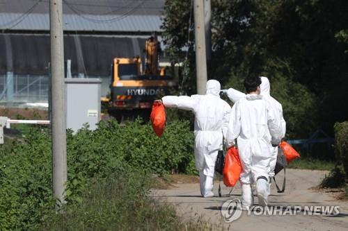 UNC approves Seoul's request to enter DMZ for African swine fever assessment