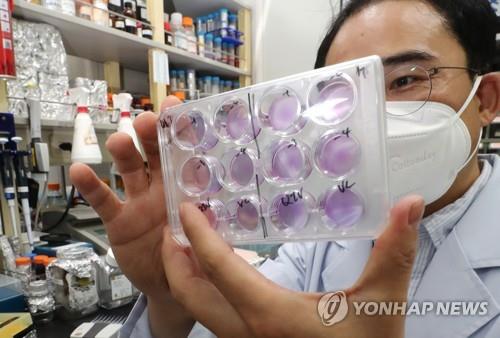 This file photo taken on Aug. 29, 2020, shows a researcher at the state-run Korea Research Institute of Bioscience and Biotechnology in Daejeon, 164 kilometers south of Seoul, checking antibody samples that can be used in the creation of COVID-19 vaccines and treatment drugs. (Yonhap)