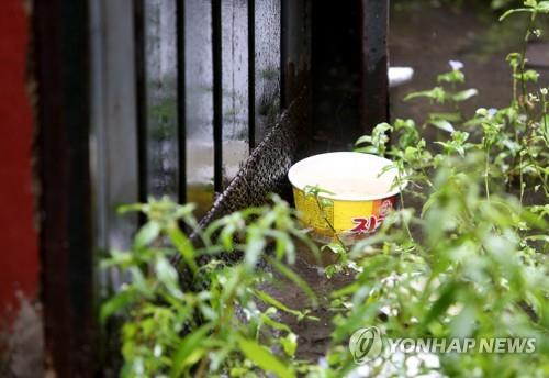 An instant noodle bowl is seen near the boys' home in Incheon on Sept. 17, 2020. (Yonhap)